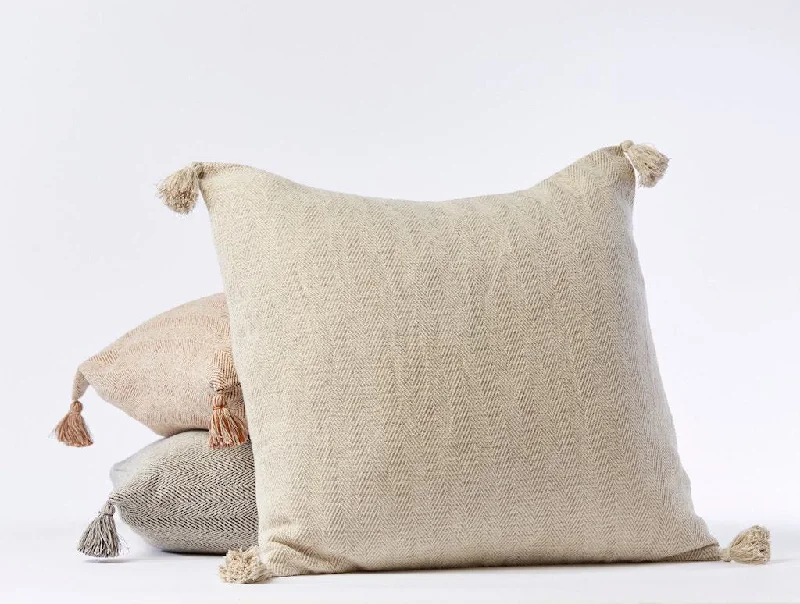 Square Pillows for Modern Home DecorPresidio Organic Decorative Pillow Cover by Coyuchi