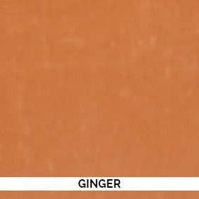 Ginger